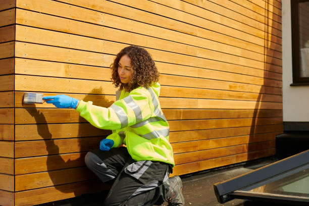 Best Vinyl Siding Installation  in Sun City, AZ